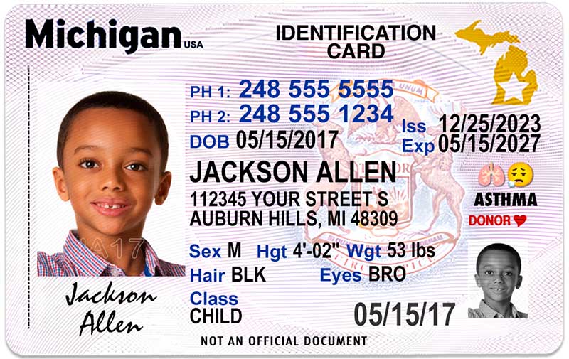 lost my michigan driver's license