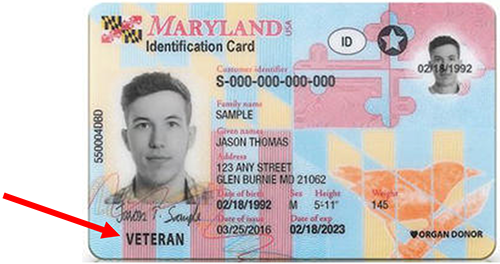 maryland mva driver's license renewal