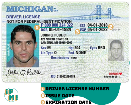michigan driver's license number location