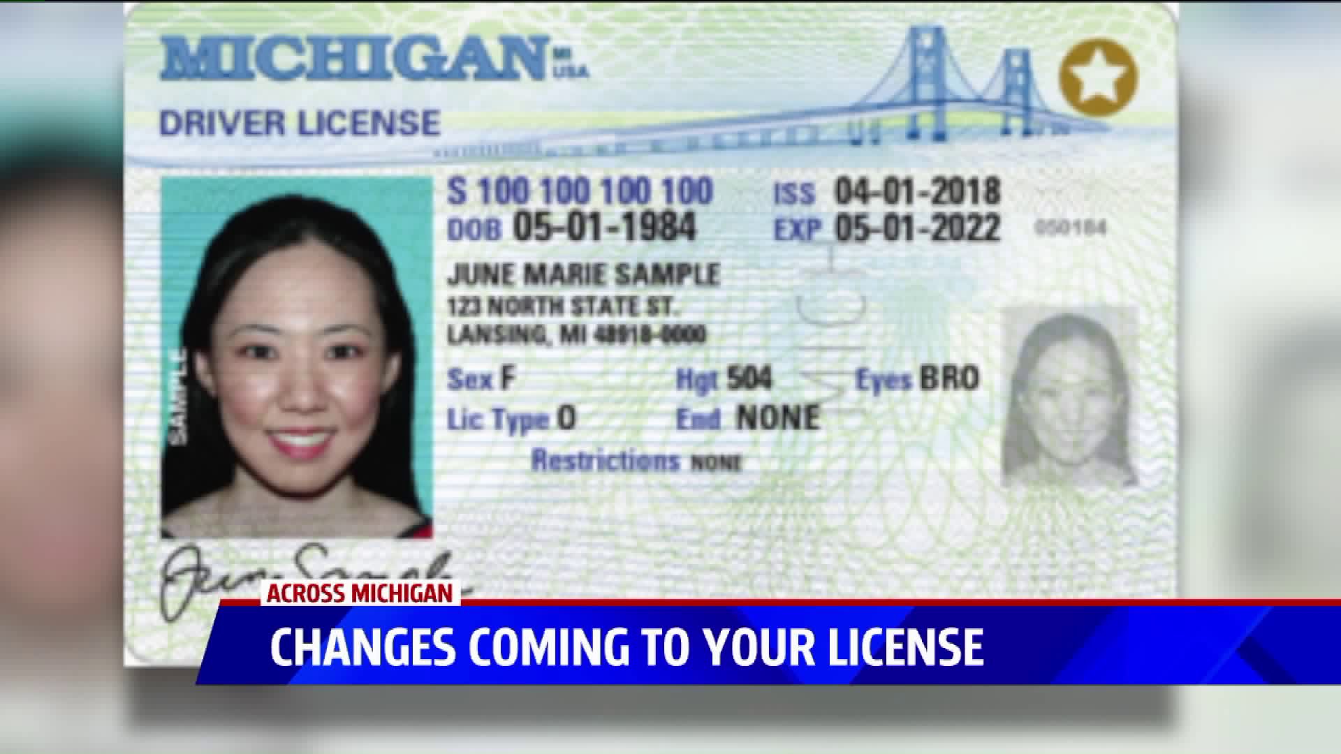 michigan driver's license number location