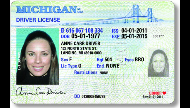 michigan driver's license record