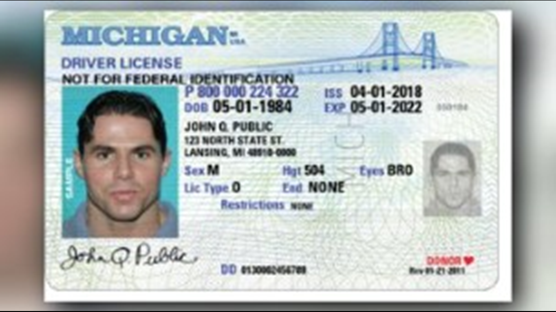 michigan driver's license record