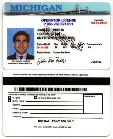 michigan secretary of state driver's license