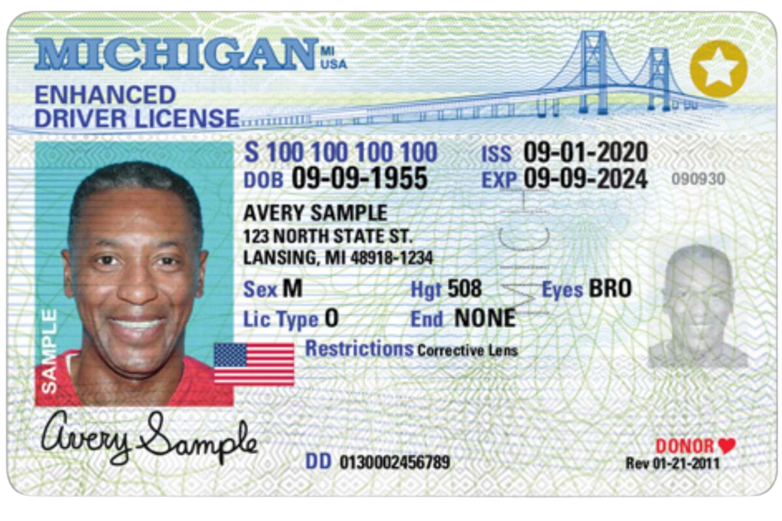 michigan temporary paper driver's license