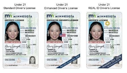 minnesota driver's license replacement