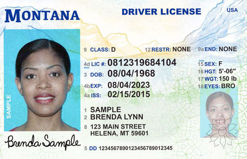 montana driver's license renewal online