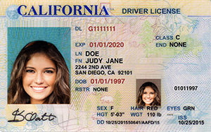 moved to california driver's license