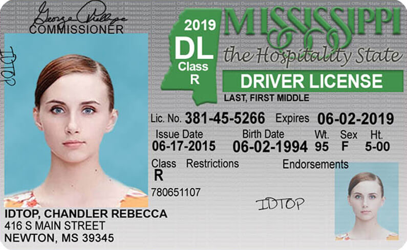 ms driver license