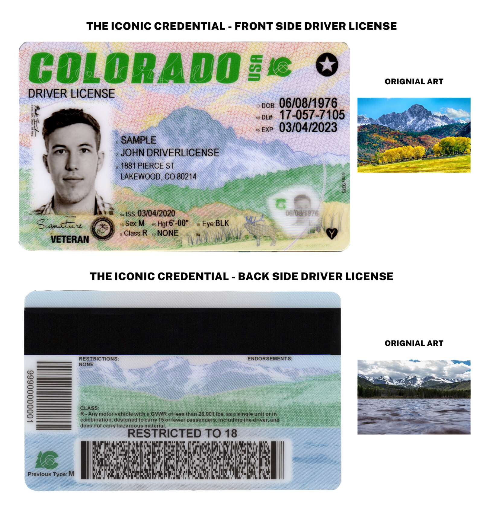 new driver's license colorado