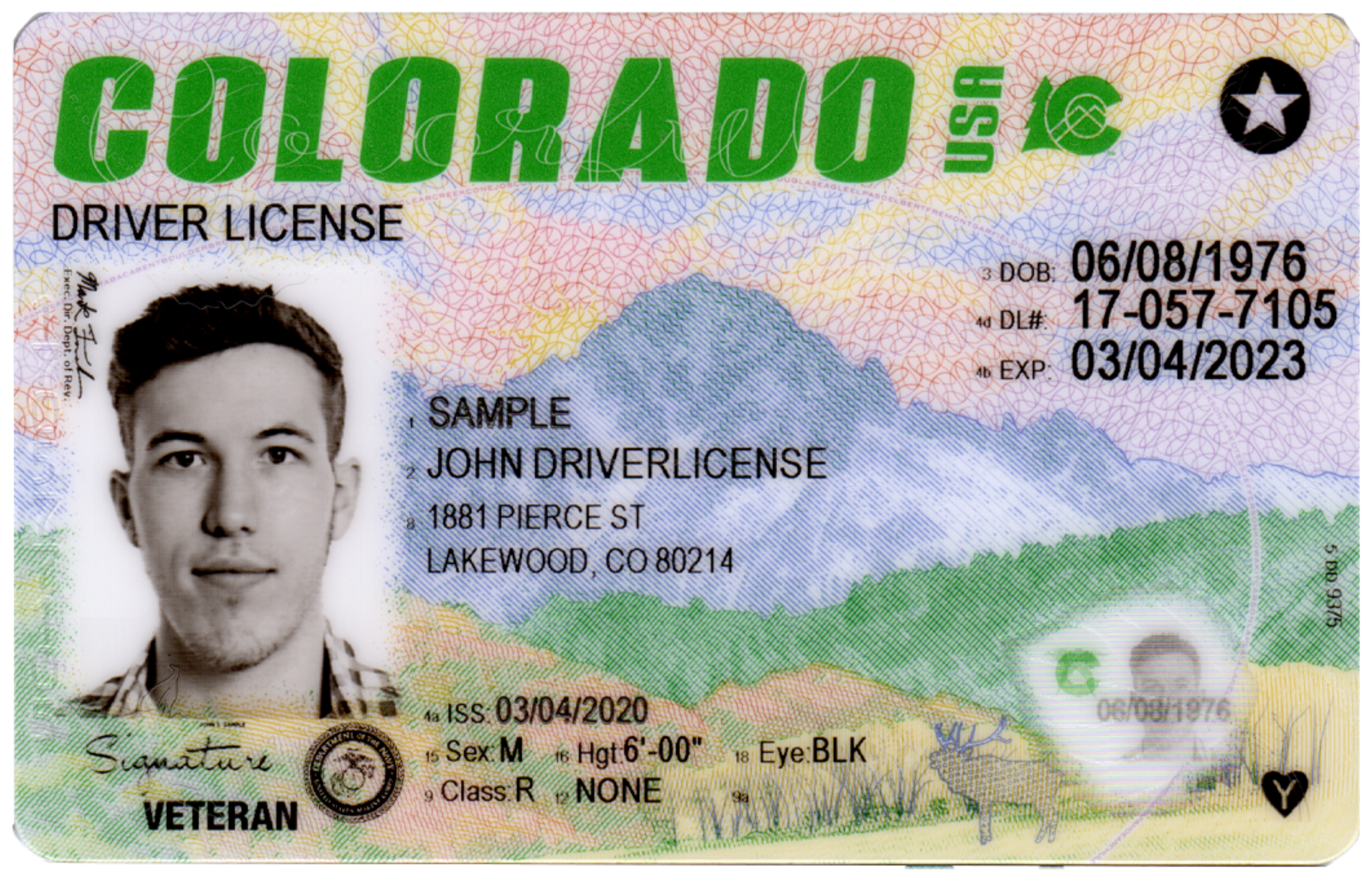 new driver's license colorado