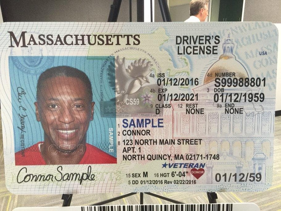 new driver's license ma