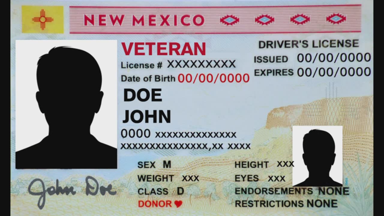 new mexico driver's license