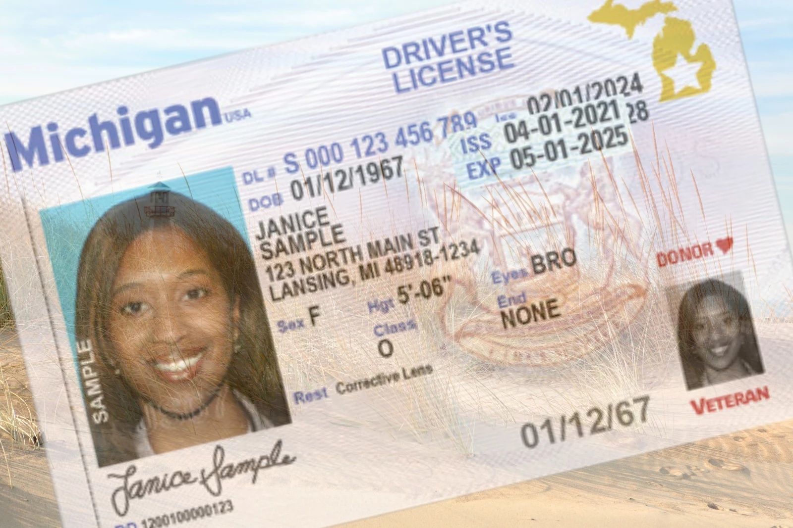 new michigan driver license