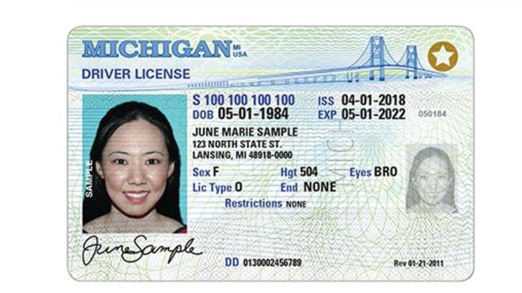 new michigan driver license