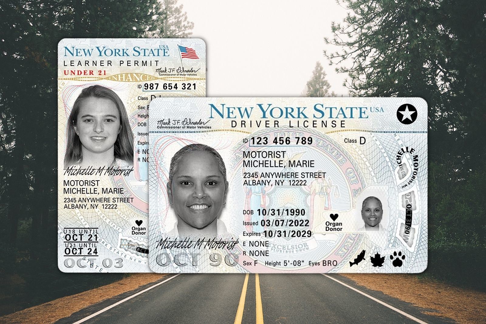 new york city driver's license