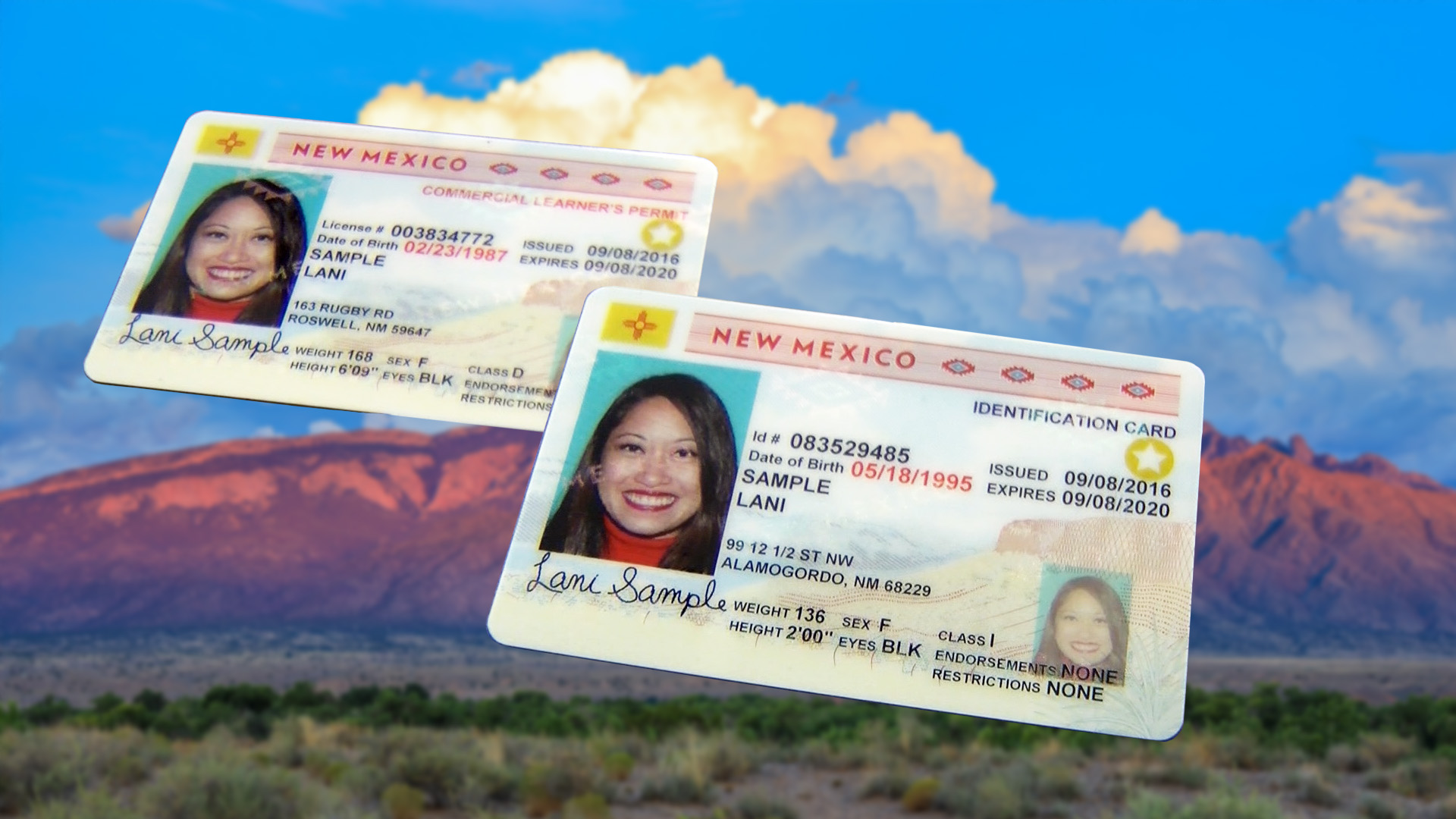 nm driver's license renewal online