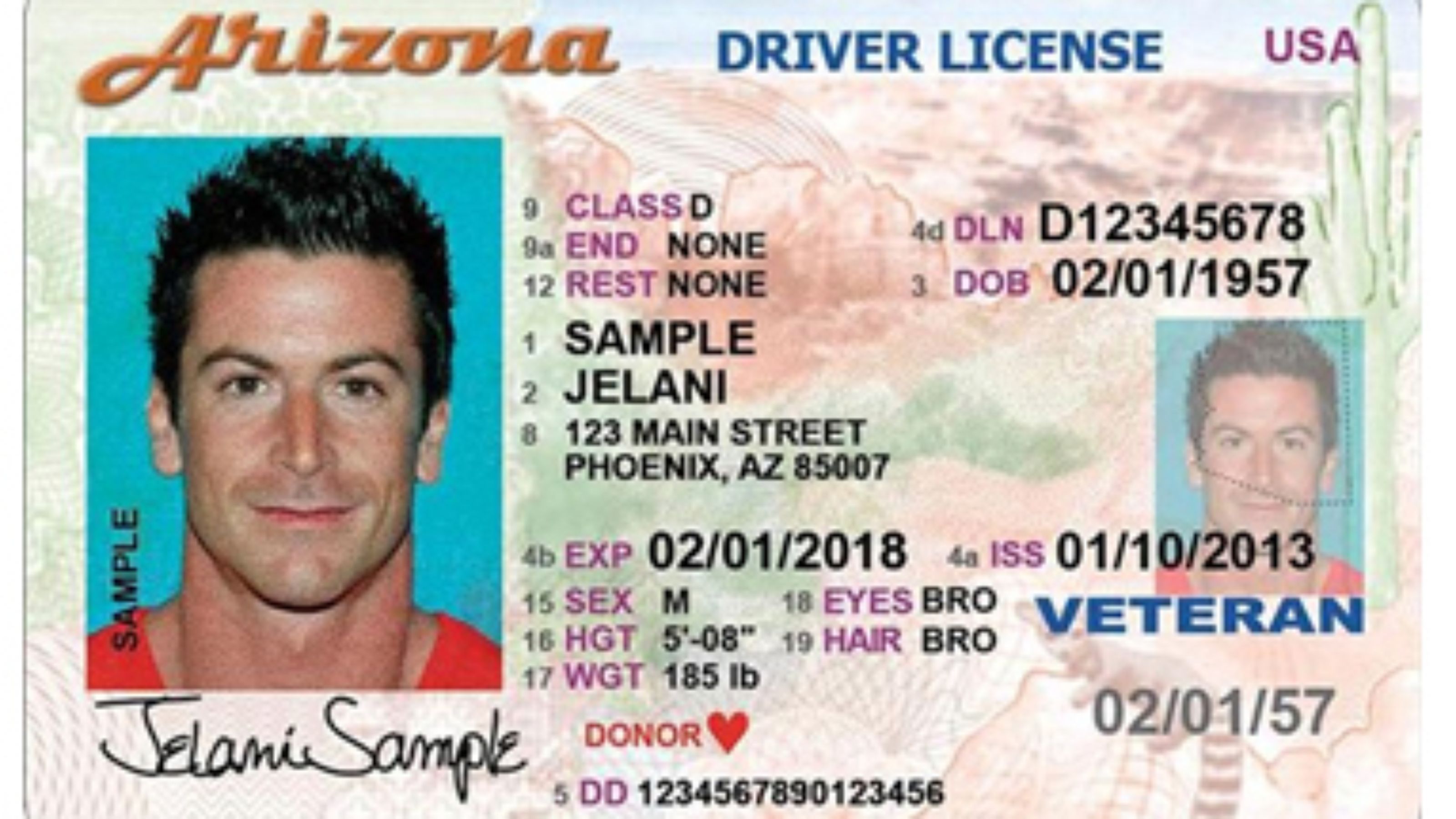 not federal identification driver's license