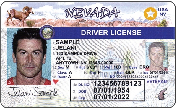 nv dmv renewal driver's license