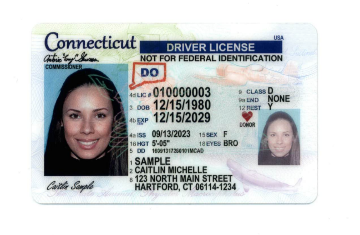 obtaining a driver's license in ct