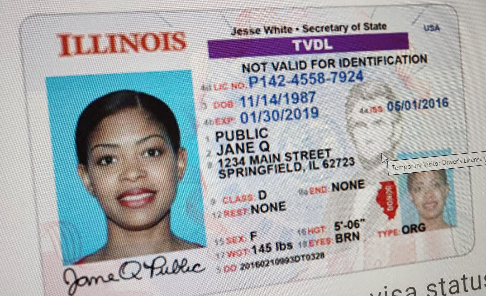 obtaining a driver's license in illinois