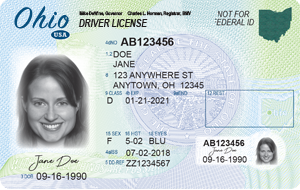 ohio driver license check