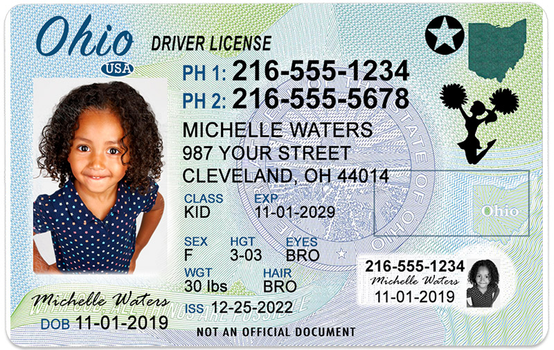 ohio state driver license
