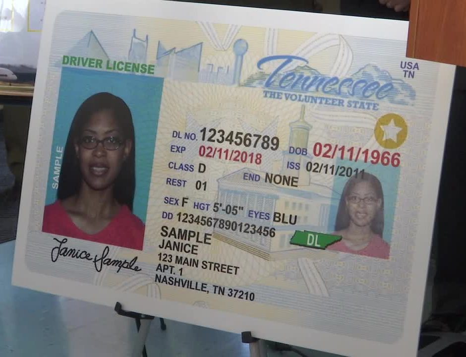 oklahoma driver's license / reinstatement phone number