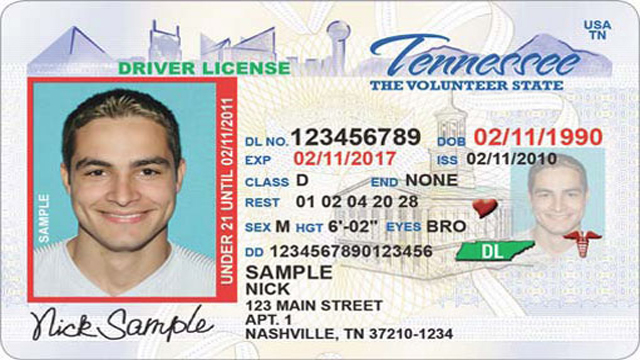 online driver's license renewal tennessee