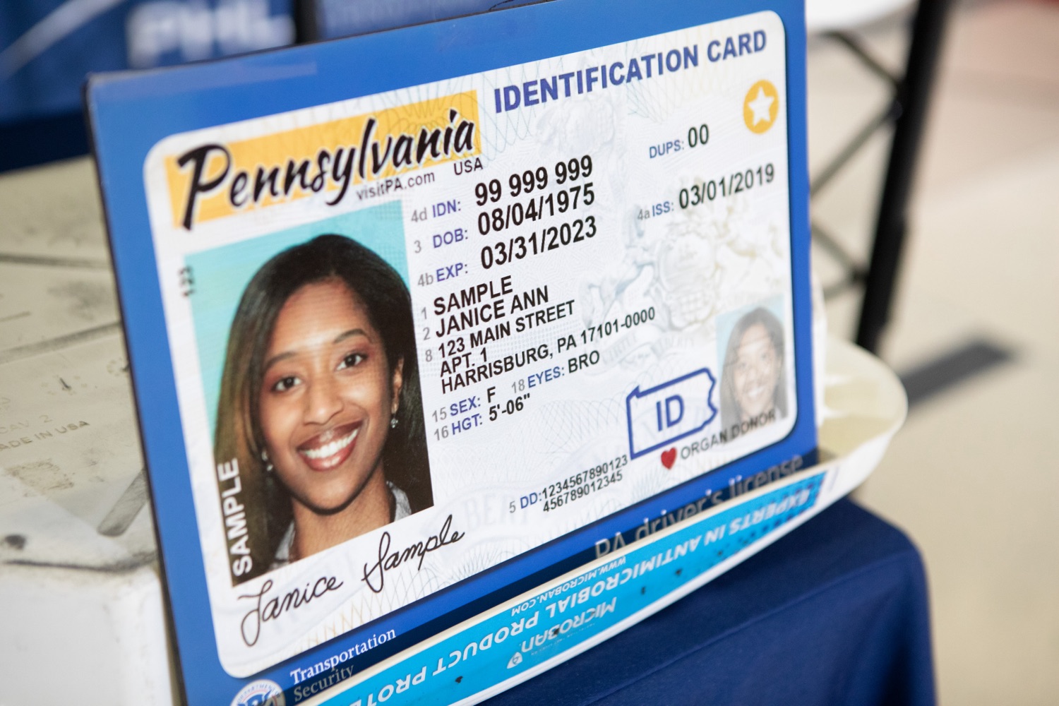 penndot driver license renewal