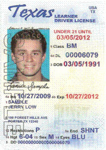 provisional driver's license texas