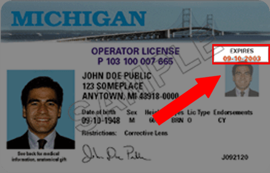 renew driver's license michigan online
