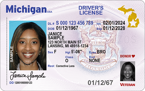 renew driver's license michigan
