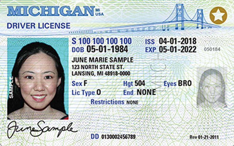 renew driver's license michigan