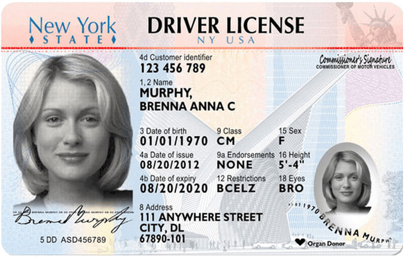 renew driver's license ny online