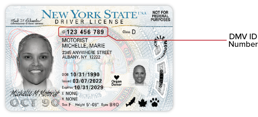 renew driver's license ny online