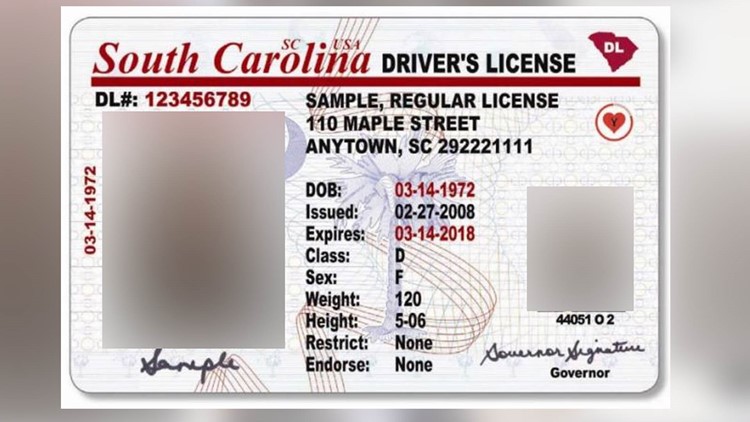 renew driver's license sc