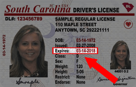 renew driver's license sc