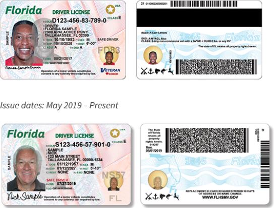 renew florida driver's license online