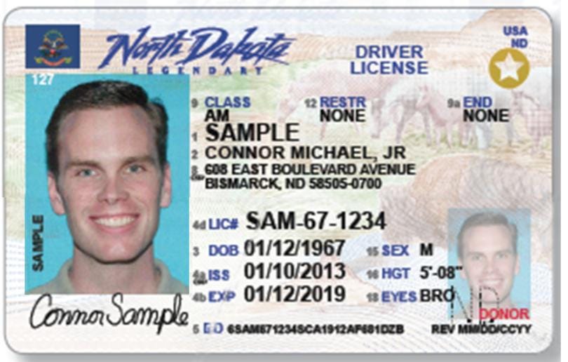 rev meaning on driver's license