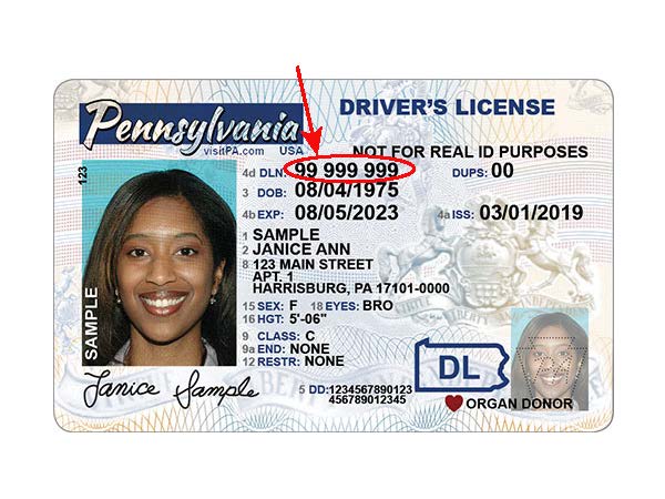 search driver's license