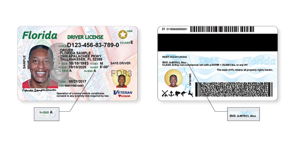 search driver's license