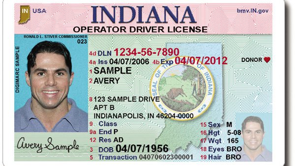 state of indiana driver's license