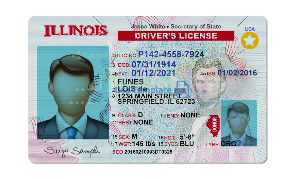 status of driver's license illinois