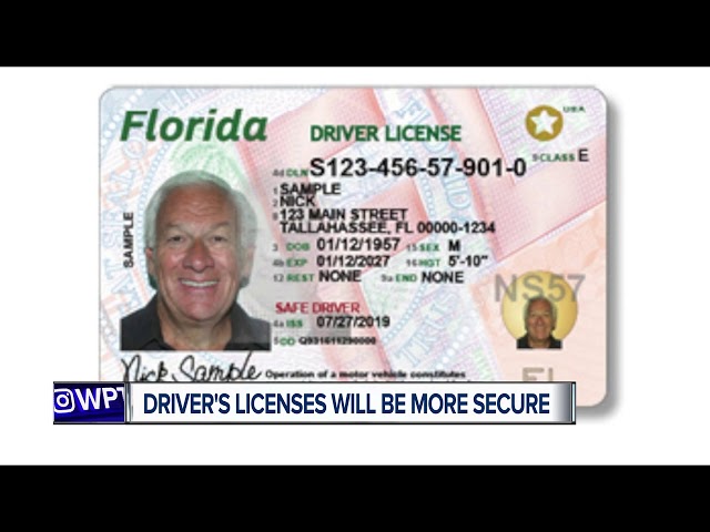 tallahassee driver license