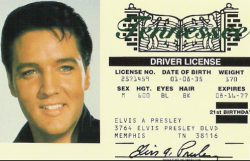 tennesee driver license