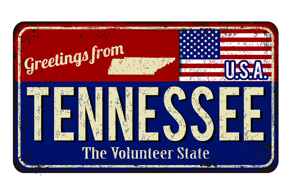 tennessee department of motor vehicles driver's license