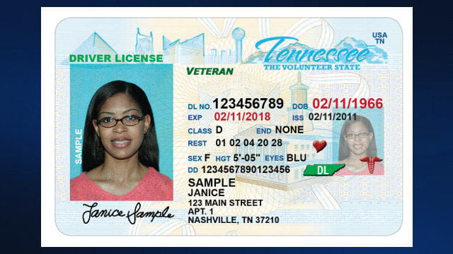 tennessee driver's license department