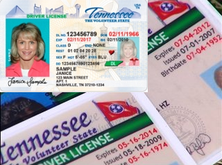tennessee driver's license department
