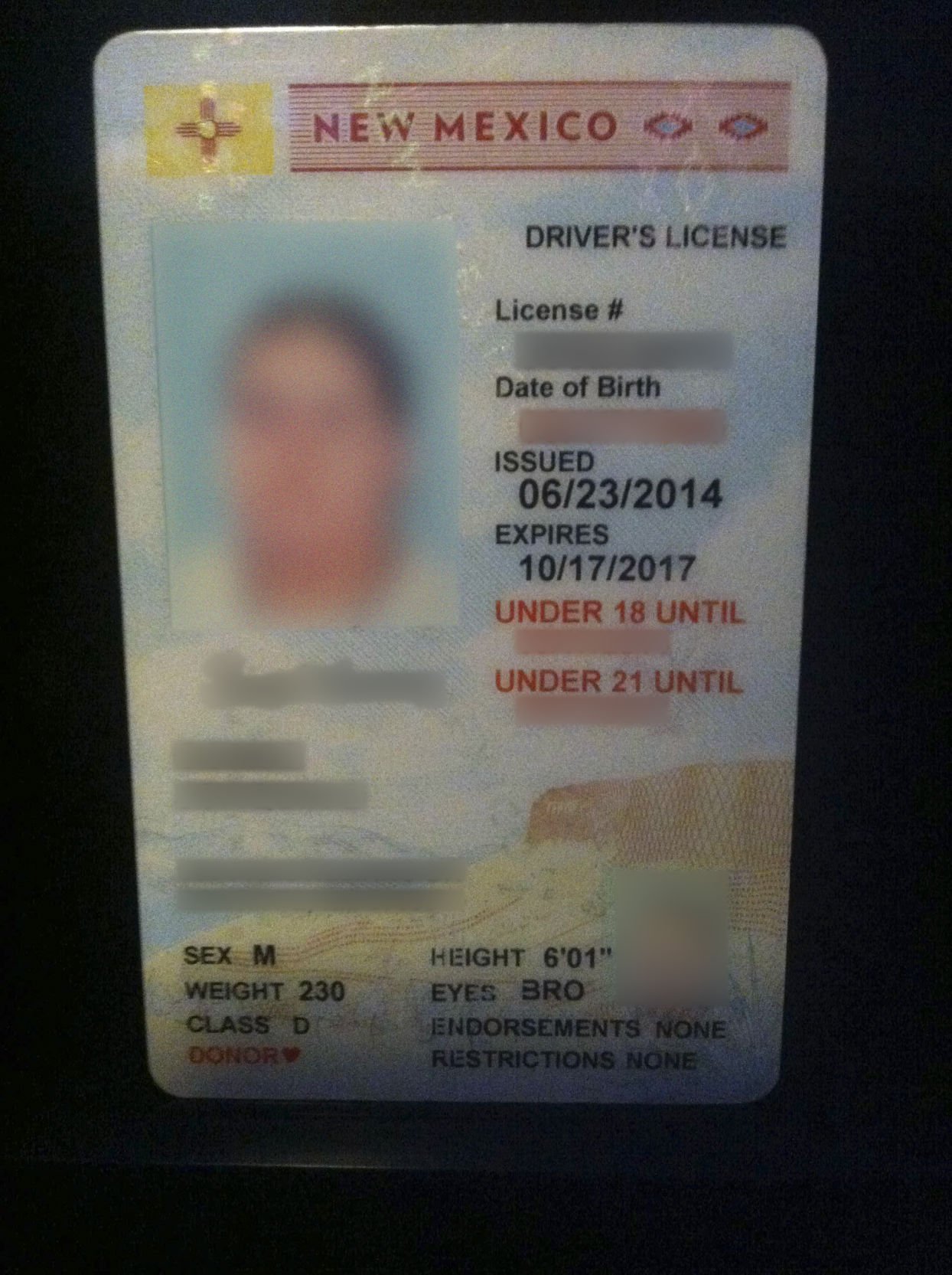 vertical driver's license