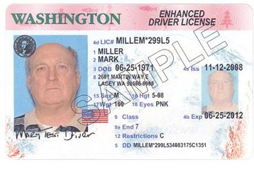 wa enhanced driver's license